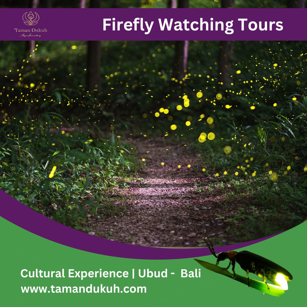 Taman Dukuh Cultural Experience Firefly Watching Tours