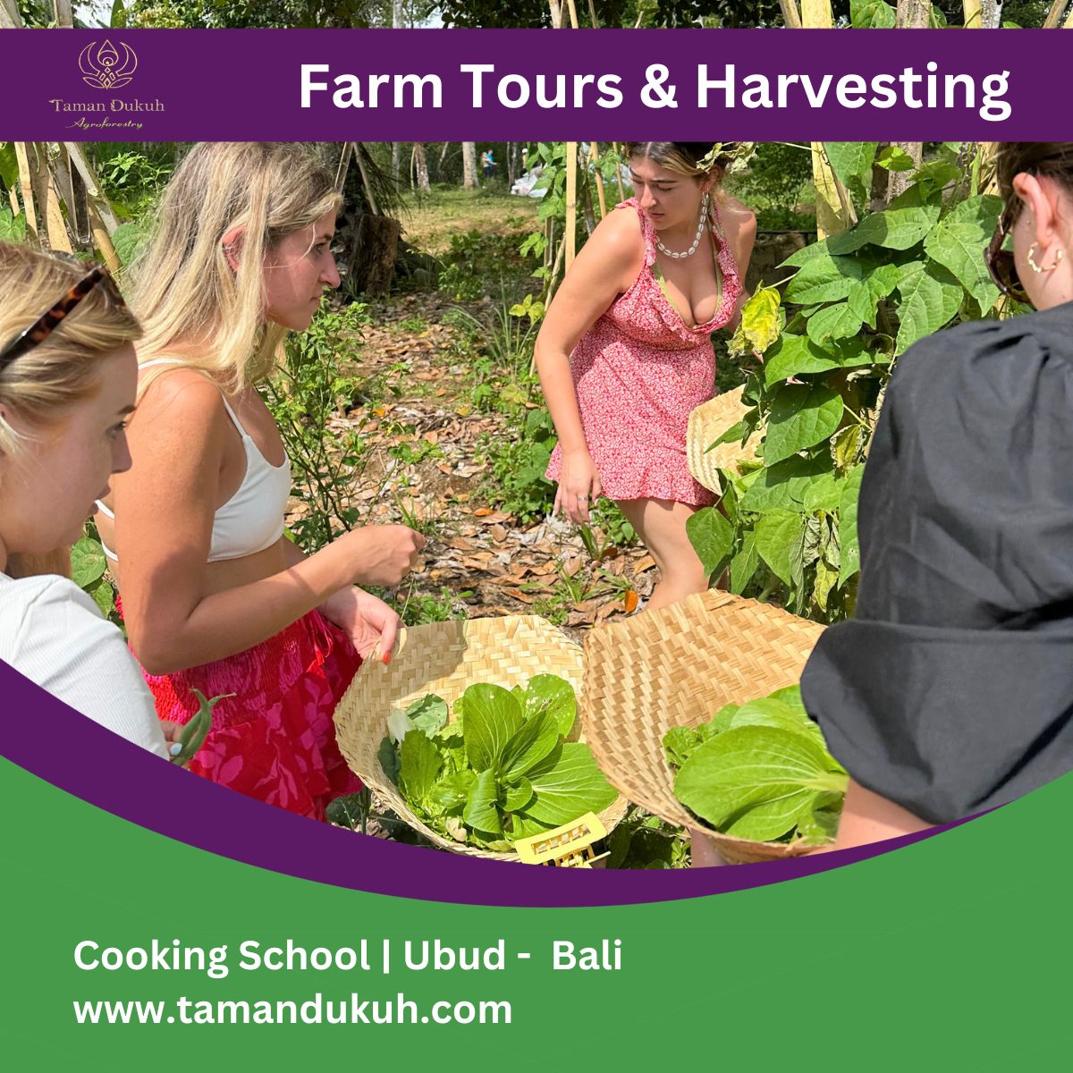 taman dukuh farm tours and harvesting