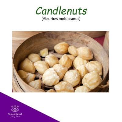 Spices & Ingredients 10 Candlenuts
