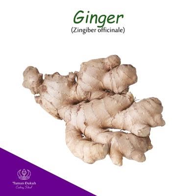 Spices & Ingredients 4 Fresh ginger root (jahe) used in Balinese cooking.